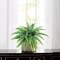 Artificial Boston Fern Plant 35 Fronds - 34" Diameter, 4-Pack | Lifelike Faux Greenery | Indoor Outdoor Decor | High-Quality & Easy to Arrange | Floral Home by Artificial Flowers